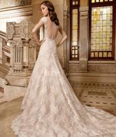 Backless Bridal Gown